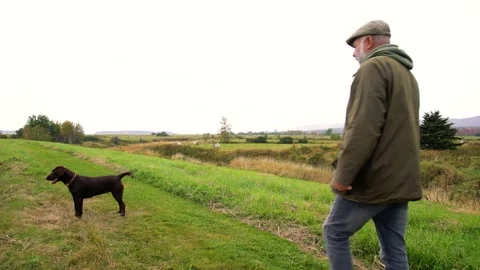 Walking the dog Stock Footage 162904565