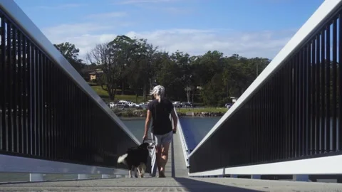 Walking the Dog Stock Footage 181385221