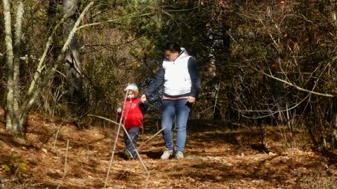 Walking with a dog in the forest. Stock-Footage 95297767