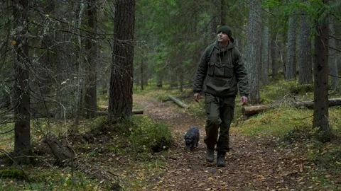 Walking with a dog in the forest Video stock 294173790