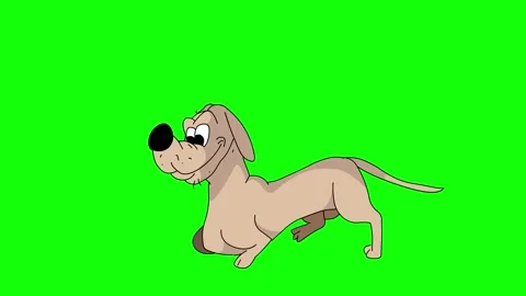 Walking dog Green Screen Loopable Stock Footage 242744599
