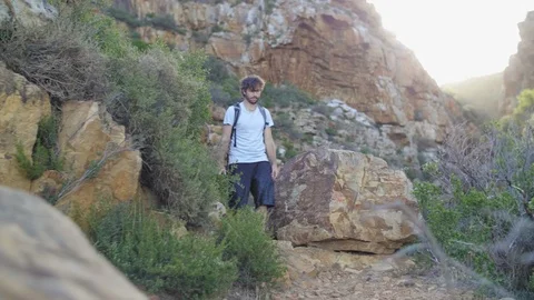 Walking dog on mountain Stock Footage 120840027