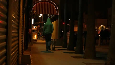 Walking Dog Night Stock Footage 11360779