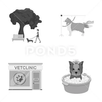 Walking with a dog in the park, combing a dog, a veterinarian's office, bathing Stock Illustration