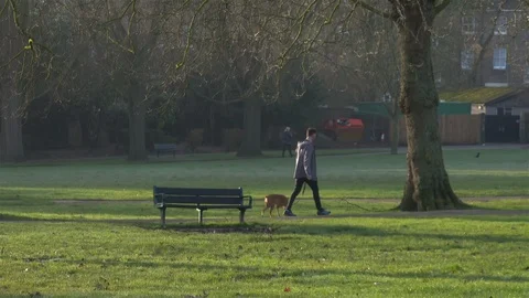 Walking dog in the park Stock Footage 124532695