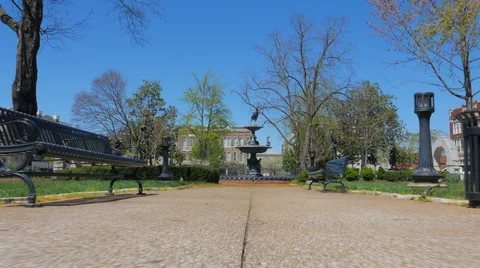 Walking the Dog in the Park Point of View 스톡 동영상 62205736