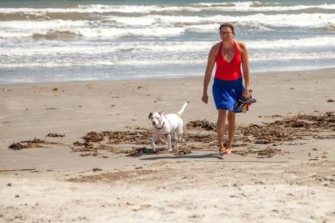 Walking the dog Foto stock