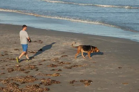 Walking the dog Foto stock