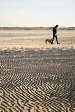 Walking the dog Stock Photos