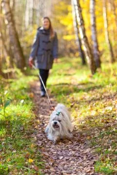 Walking with dog 스톡 사진