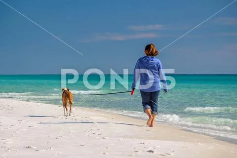 Walking a dog on a sunny white sand beach 0841-12 Stock Photos