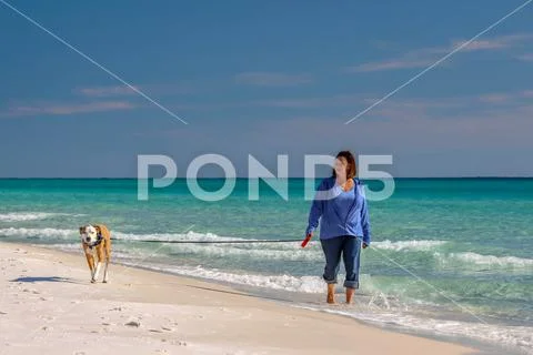 Walking a dog on a sunny white sand beach 0883-54 Stock Photos