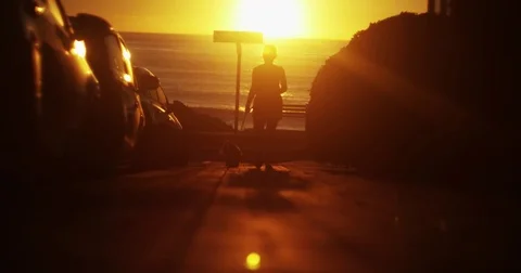 Walking Dog in Sunset Stock Footage 81736566