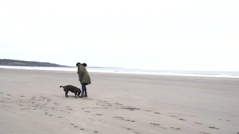Walking the dog in winter Stock Footage 167143586