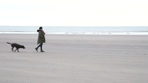 Walking the dog in winter Stock Footage 167143589