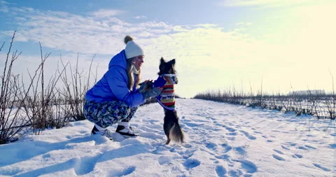Walking with a dog in a winter wilderness setting. Stock Footage 253498825