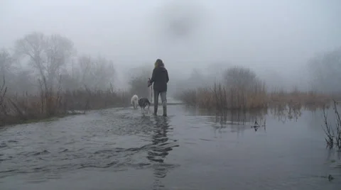 Walking dogs in floods 2 Stock Footage 34269415