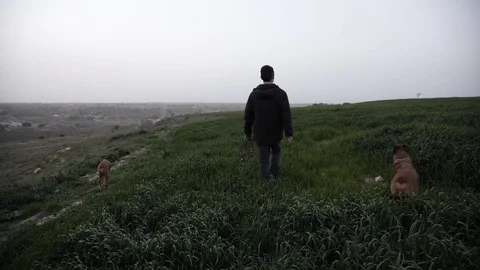 Walking the dogs in high grass Stock Footage 128014941