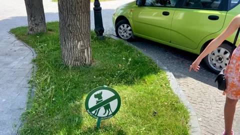 Walking dogs is not allowed here but the dog did something that is not allowed Stock Footage 243941461