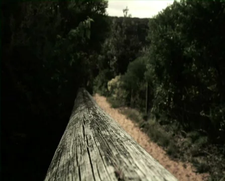 Walking down a beach path Stock Footage 769551
