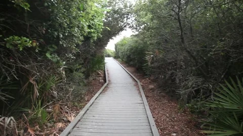 Walking down Beach Path 動画素材 997250