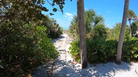 Walking down beach path Stock Footage 105746690