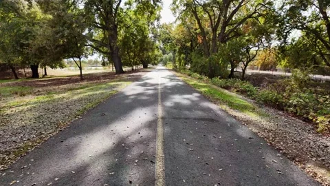 Walking down a bike trail surrounded by oak trees in slow motion Stock Footage 257525492