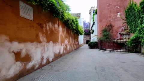 Walking Down Brightly Colored Street in Seville's Judería Quarter Stock Footage 322149510