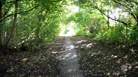 Walking Down a Country path Stock Footage 54144634