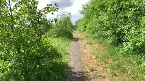 Walking down a country path with green trees on both sides. Stock Footage 136819409