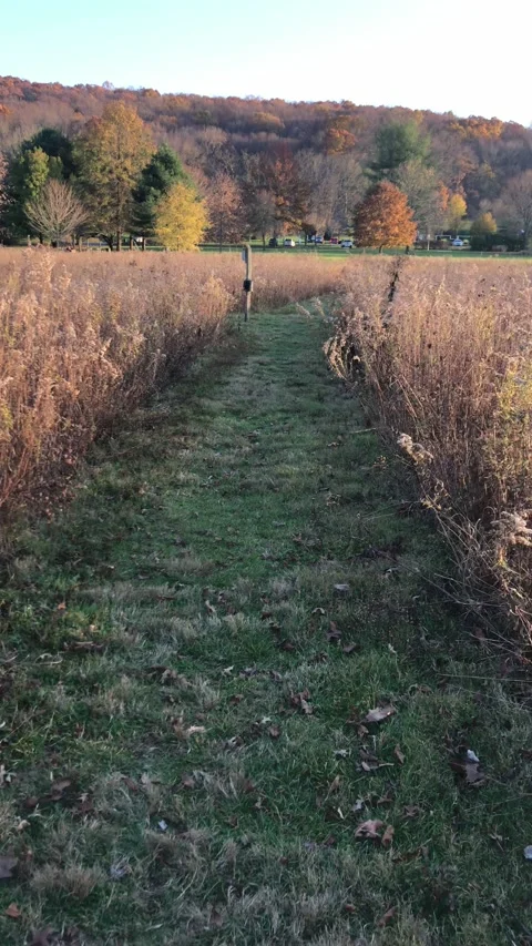 Walking down a country road between fields, 4k video Stock Footage 144828130