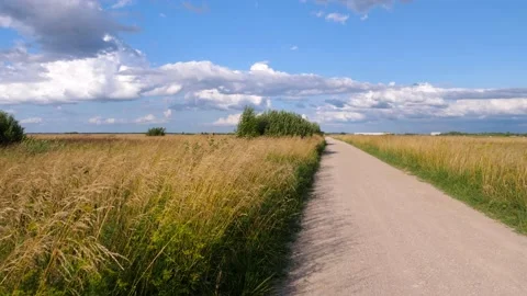 Walking down the country road Video stock 195298855