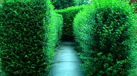 Walking down dead end path pov Stock Footage 8660915