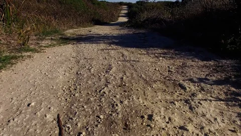 Walking down a dirt path Australian bush and nature Stock Footage 108774159