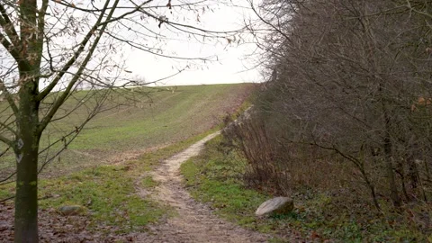 Walking Down a Dirt Path in Autumn Forest Landscape Stock Footage 324669792