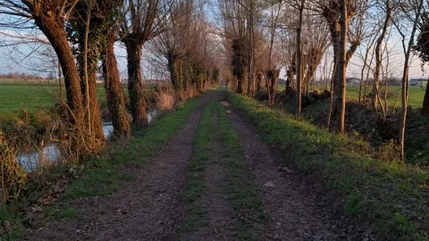Walking down a footpath in the countryside at sunset Stock-Footage 330949438