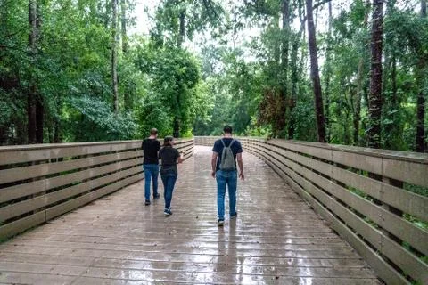 Walking down forest path Stock Photos