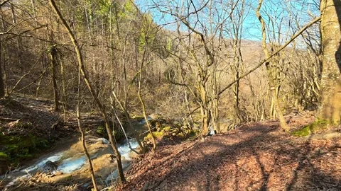 Walking Down Forest Trail with Quick Look at Sunny Autumn Stream POV Vídeos de archivo 330632775