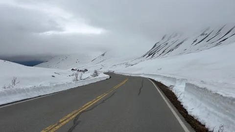 Walking down Gold Cord Road, Palmer, Alaska Stock Footage 276703439