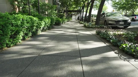 Walking down a green bush lined New York City sidewalk with greenery on both Stock Footage 242312612