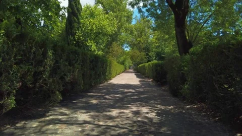 Walking down a green path between bushes Stock Footage 133174464