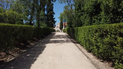 Walking down a green path between bushes Stock Footage 133174482