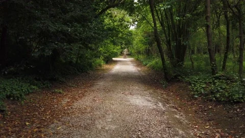 Walking down a green path between bushes Stock Footage 133174967