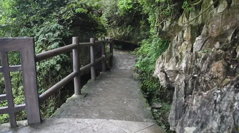 Walking Down Green Path Stock-Footage 48733601