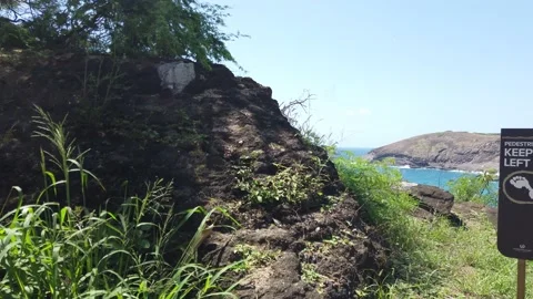 Walking Down to Hanauma Bay Stock Footage 155365147