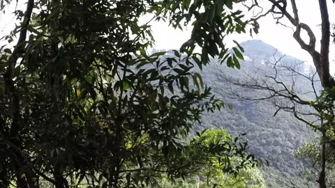 Walking down a hill in Hong Kong Stock Footage 254583665