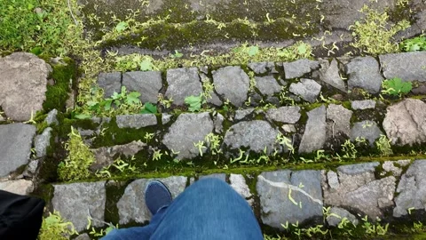 Walking Down Mossy steps close up Stock Footage 318425448