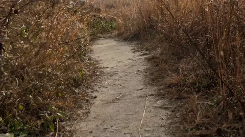 Walking down a path Stock Footage 83079878
