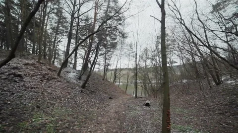 Walking down the path in a gloomy ravine. Flycam Vidéo 46447783