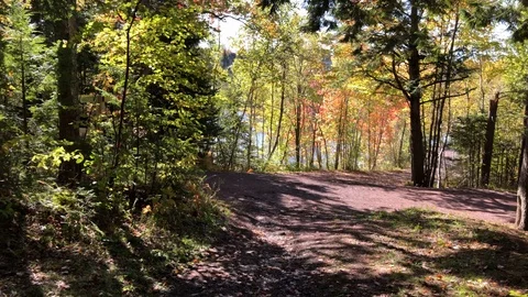 Walking Down Path Slow 動画素材 125024849